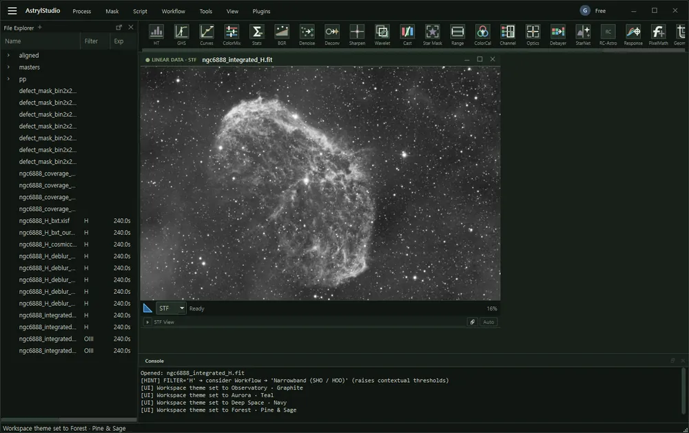 AstrylStudio in the Forest &middot; Pine & Sage theme